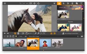 Best Photo Editing Apps for Android 1 Snapseed